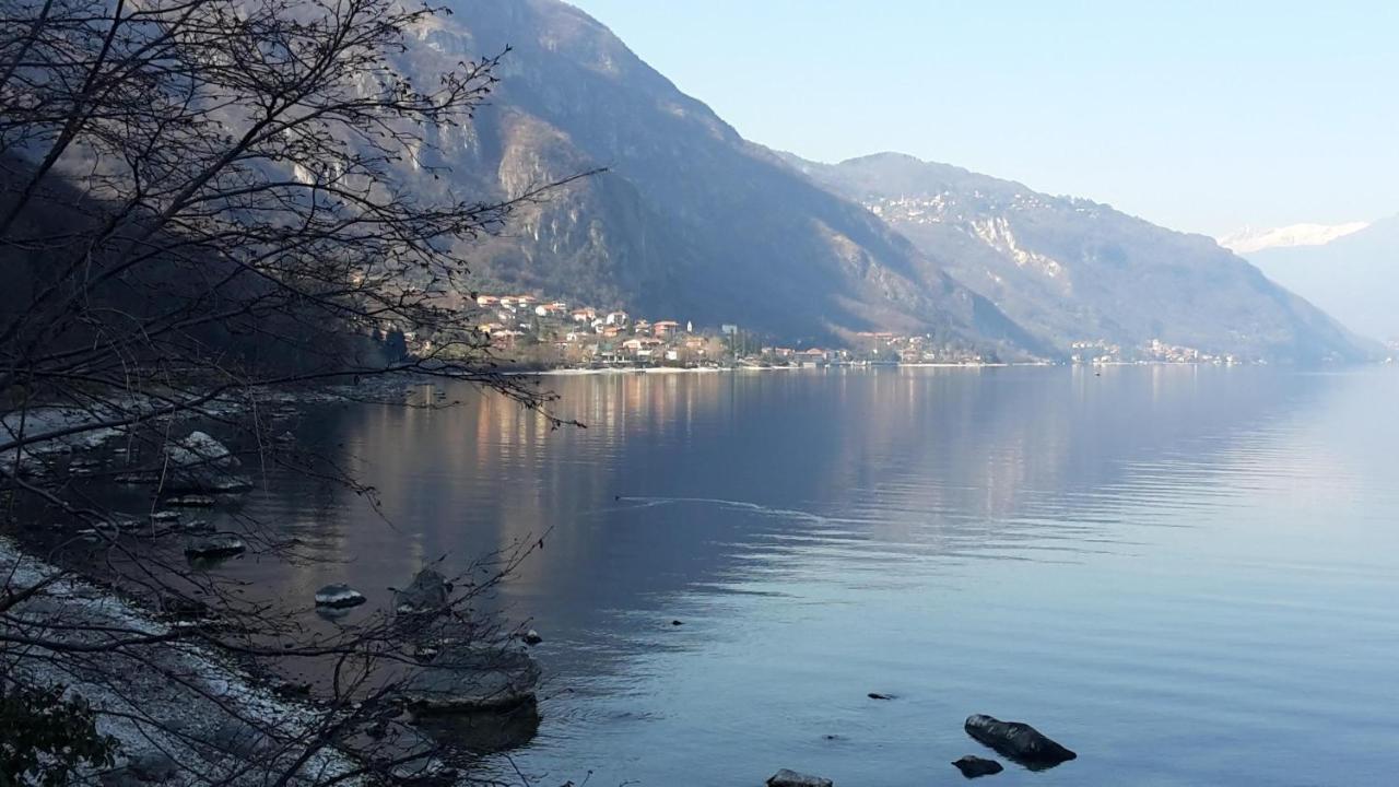 New Eleven Apartment On Como Lake Oliveto Lario Esterno foto